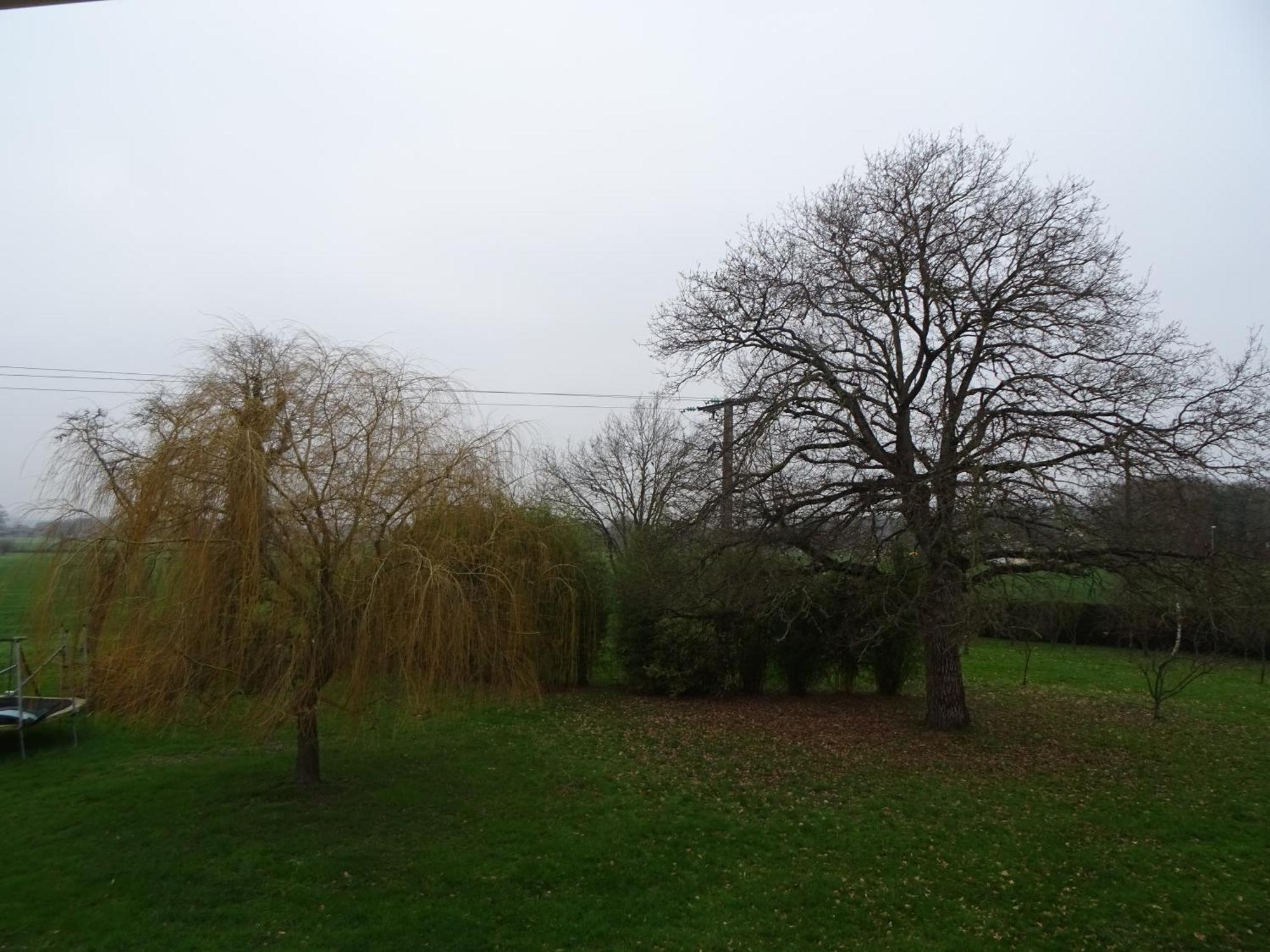 Cafecouet'Breizh Bed & Breakfast Guipry-Messac Luaran gambar